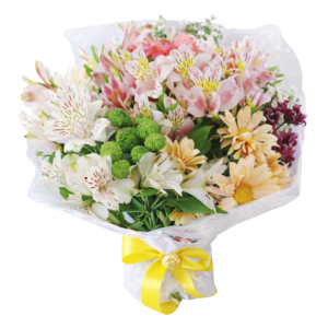 Bouquet de astromélias