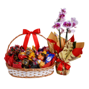 Cesta super luxo