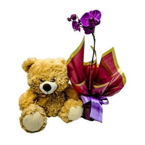 Urso com Orquídea
