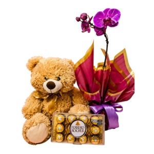 Urso com Orquídea e Chocolate