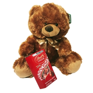 Urso grande com caixa de chocolate